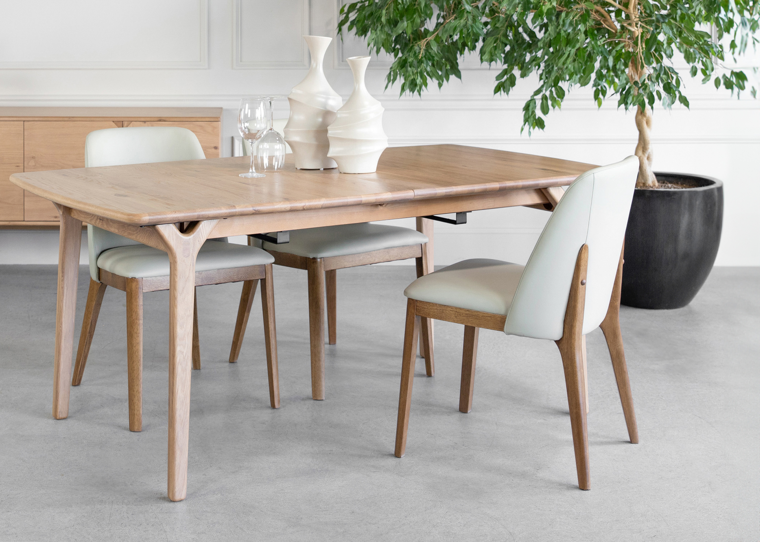 Dining Chairs