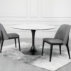 Astro Dining Table with Parma Chairs Astro Dining Table with Parma Chairs