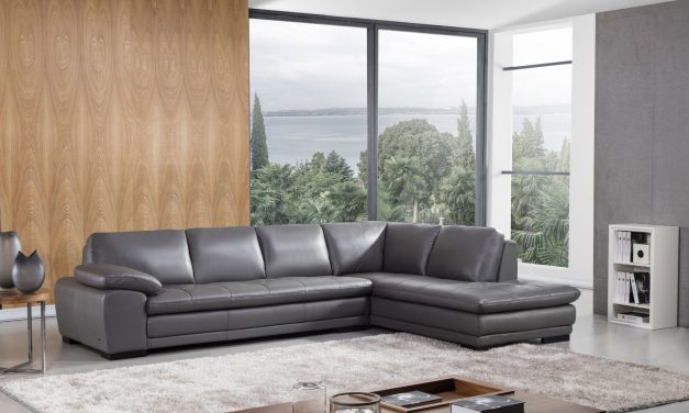 THE GREATNESS OF GRAY SOFAS: WHY THIS SHADE WORKS