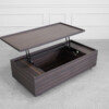 Dallas Coffee Table in Smoked Oak - Lift Top