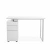 220 Pedestal Desk in White, Front