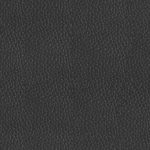 BLACK 9500