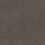 GREY 9666