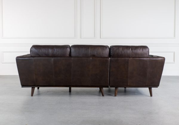 Parker Sectional in Dark Brown, Back, SL