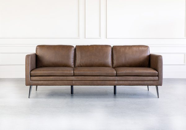 Wayne Sofa in Coffee, Front