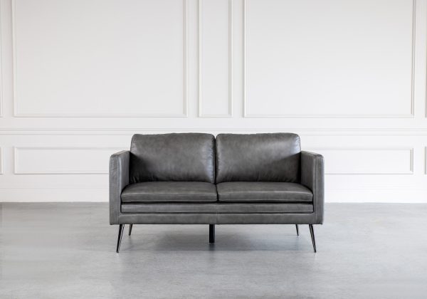 Wayne Loveseat in Grey, Front