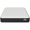VIGOR II Mattress - Front