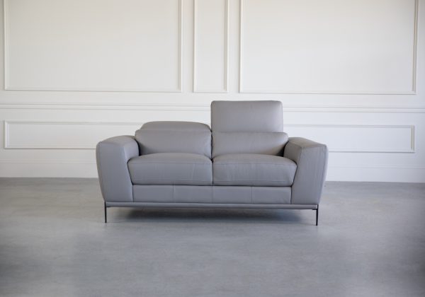 Lucas Loveseat in Grey, 1 Headrest Up, Front