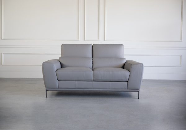 Lucas Loveseat in Grey, 2 Headrests Up, Front