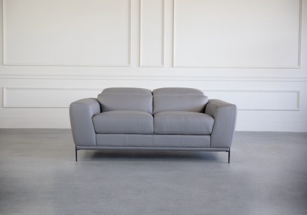 Lucas Loveseat in Grey, Front