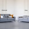 Lucas Sofa (Charcoal) and Loveseat (Grey)