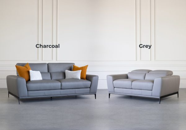 Lucas Sofa (Charcoal) and Loveseat (Grey)