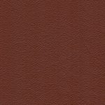 GRACE COGNAC