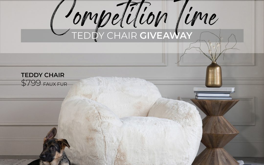 Teddy Chair Giveaway