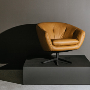 Cardiff Accent Chair Cardiff Accent Chair