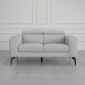 Celine L.Grey (L20) Leather Loveseat Front
