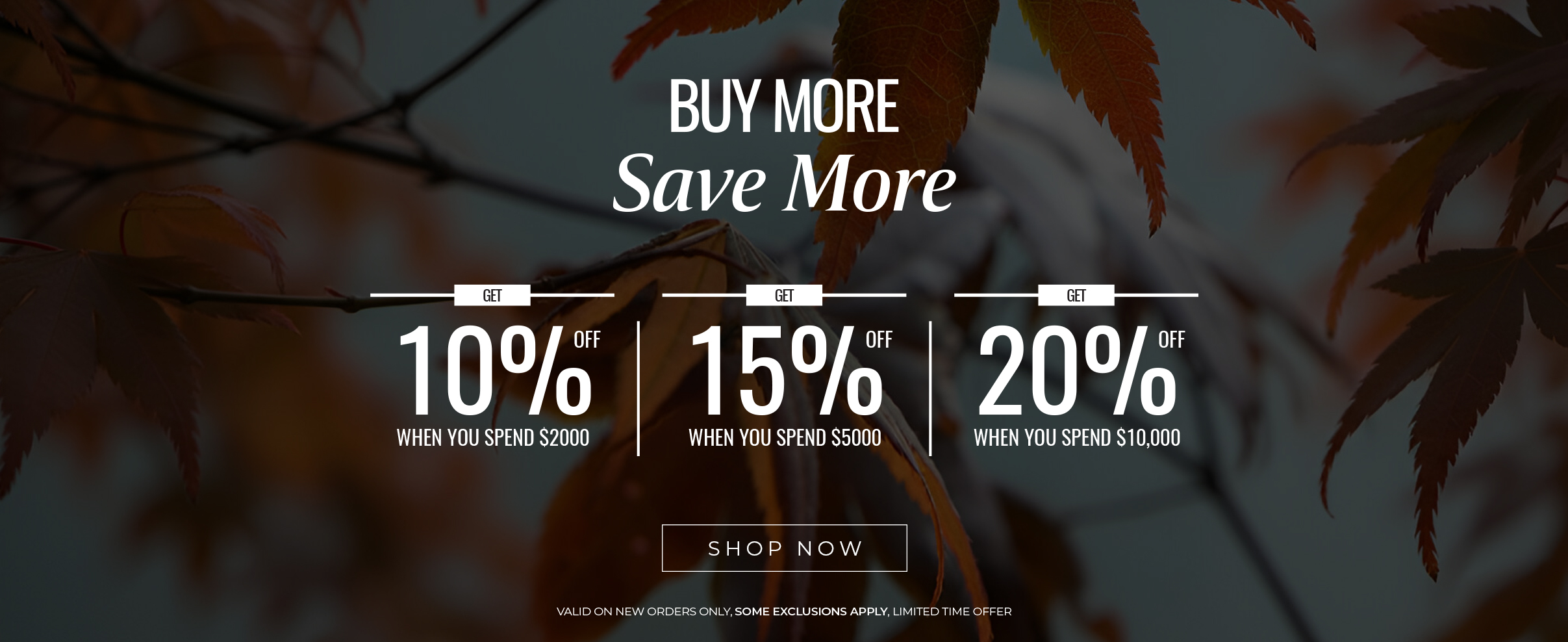 Buy More Save More Promotion - Home Page Banner - 2025