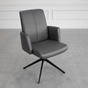 Petra Leather Armchair in Graphite Petra Leather Armchair in Graphite