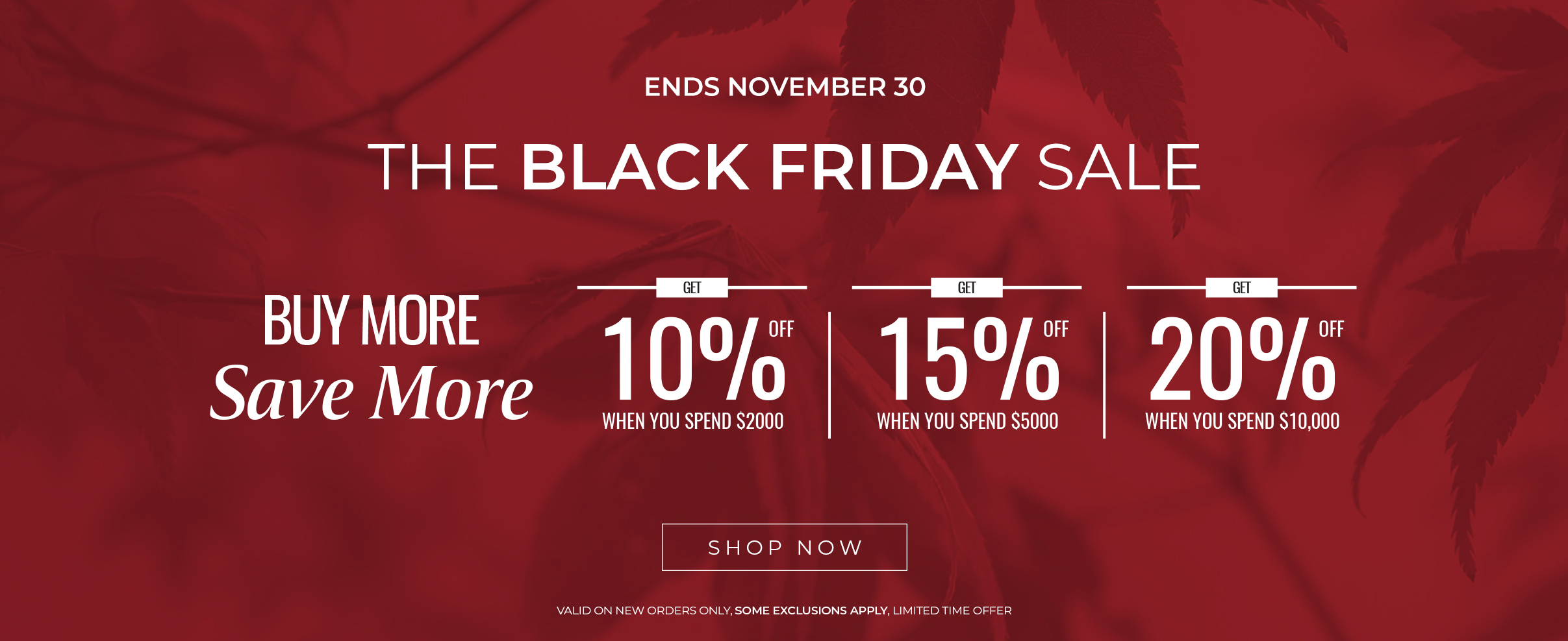 Scan-black-friday-red-Buy_More_Banner-2025