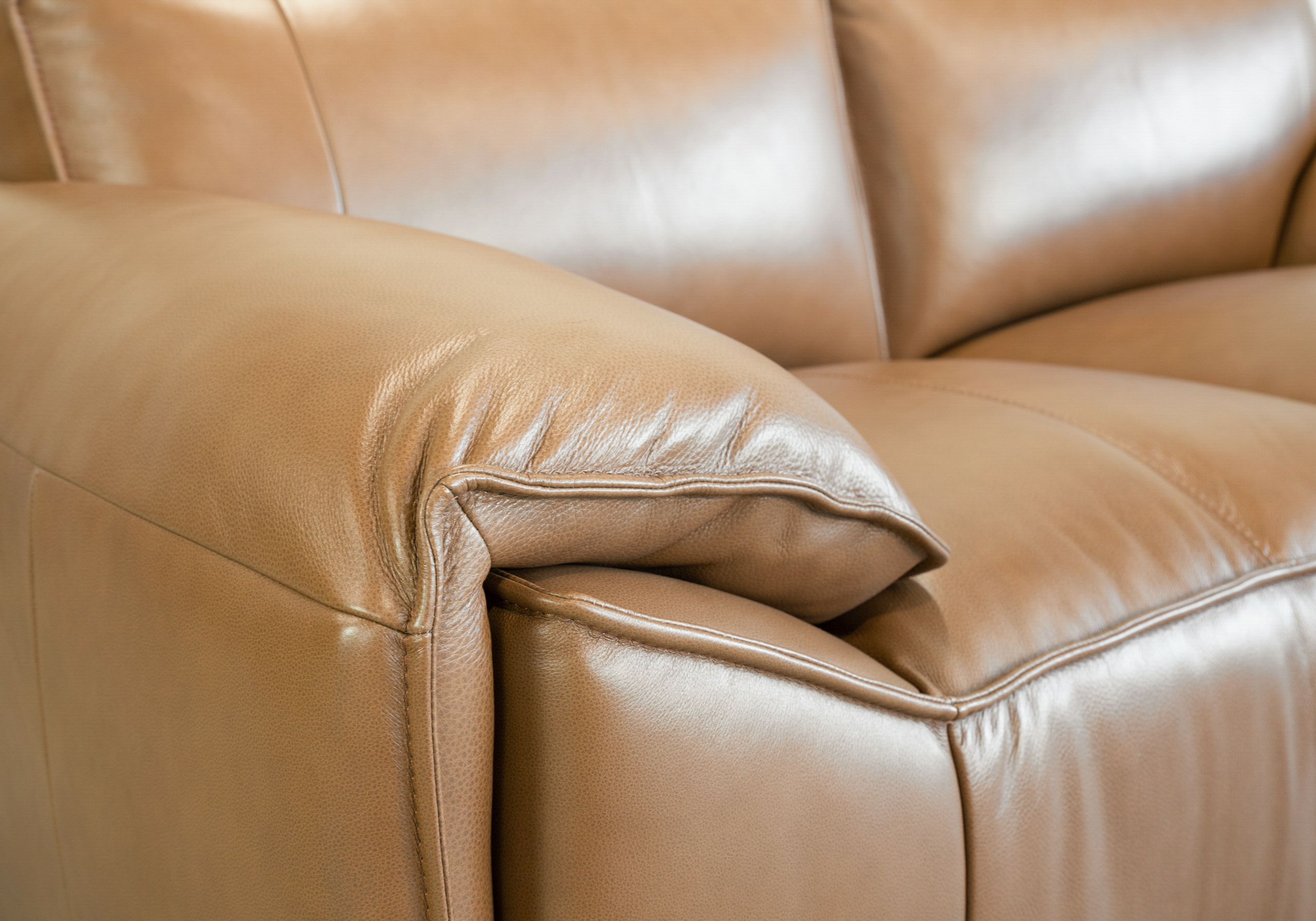 Seville Leather Loveseat in Tek - Close Up Seville Leather Loveseat in Tek - Close Up