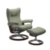 Wing Signature - Shadow Green & Brown - Angle